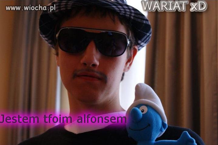 Mega alfons i wariat