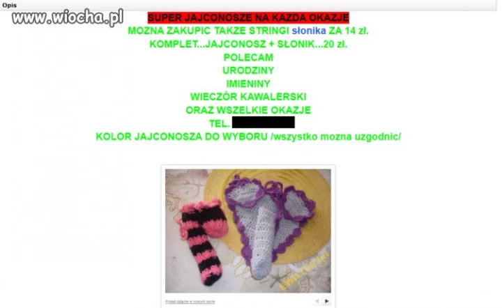 Jajconosze
<moda.allegro>