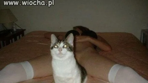 Odejdę...