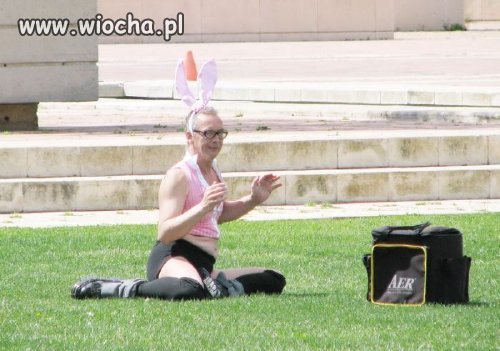 Wybory playmate 2011