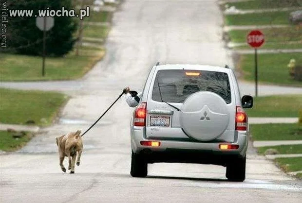 Chyba nie miał kto