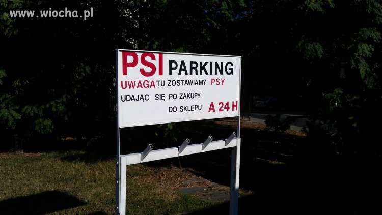 Psi Parking