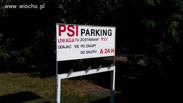 Psi Parking