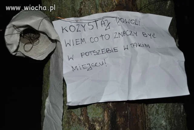 Kożystaj Dowoli...