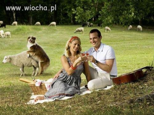 Pies mistrz drugiego planu