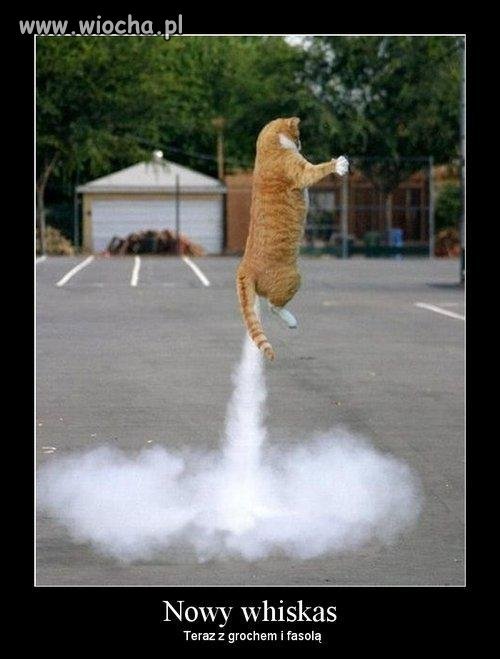Super Kot