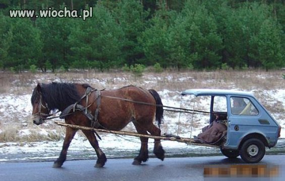 Polak potrafi. To co innym się tylko śni hahah