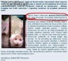 Główny lekarz weterynarii
