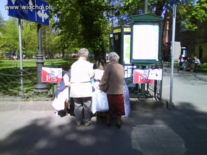 Moherowy elektorat PiSu.