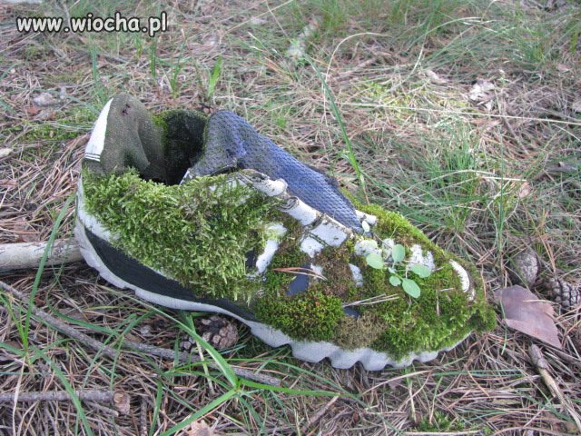 Nowy model nike