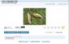 "Muj dziśiejszy połuf"!! -.-