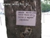 Warto wiedzieć...
