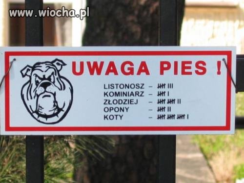 Uwaga Pies!