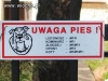 Uwaga Pies!