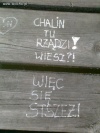Wrzut na molo.