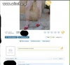 Pozycja świetna...