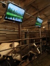 Telewizory do obory