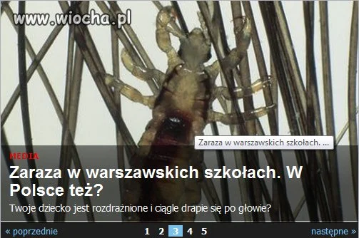 Warszawa to nie Polska
