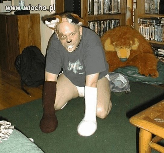 Będę Twoim misiem.