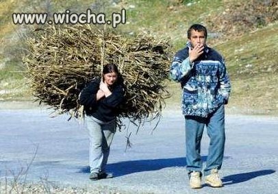 Zdzicha!?
