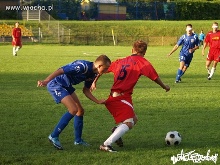 Pokaż kotku