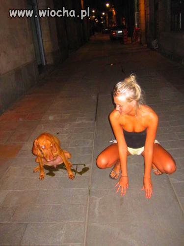 Podobieństwo?