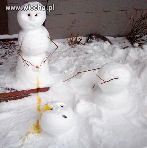 Pomysłowość