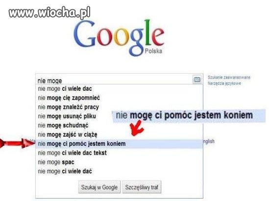 No spoko spoko 