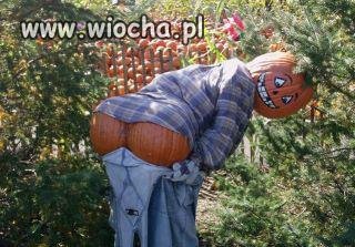 Halloween się zbliża!