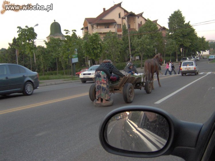 Dziadek za rzepkę, babcia yyy...