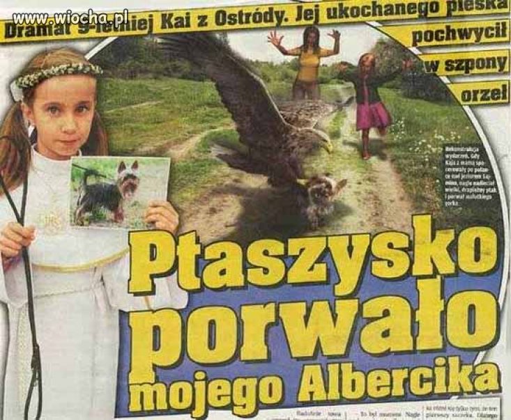 Albercik