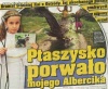 Albercik