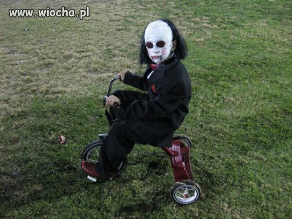 Piła...