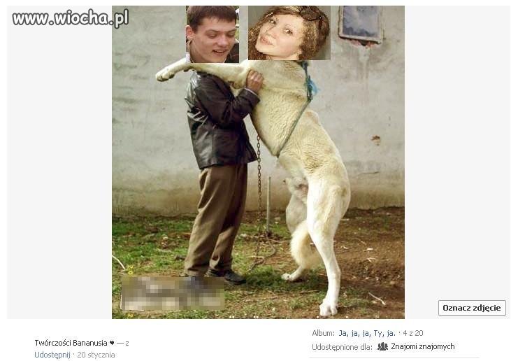 Bolek