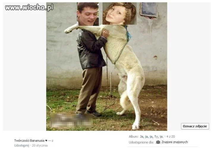 Bolek