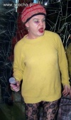 Gwiazda estrady