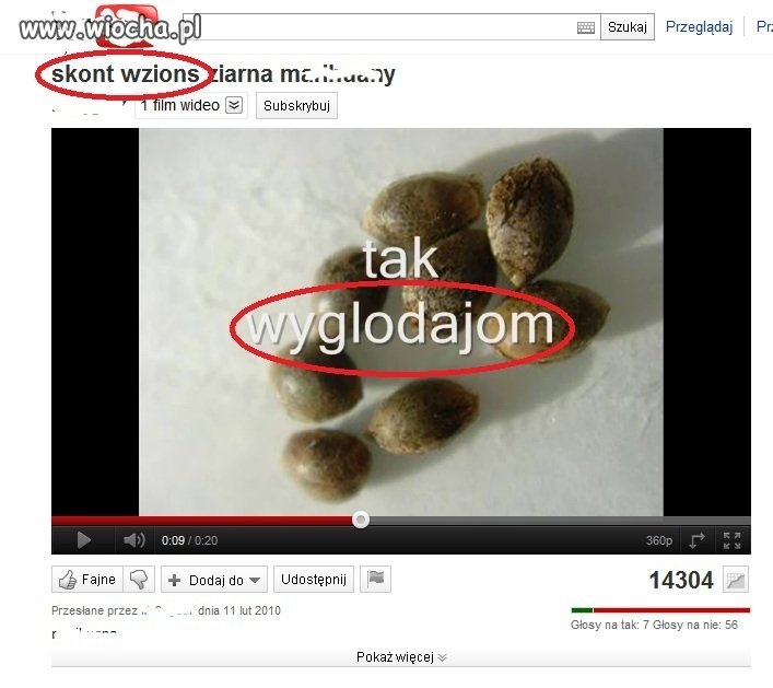 "Skont Wzionś" (...) "Tak Wyglodajom"