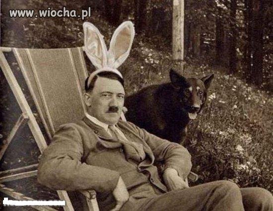 Króliczek Hitlera.