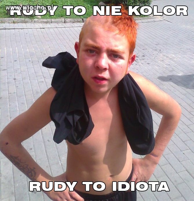 Rudy rudy rydz