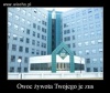 Po to pracuję