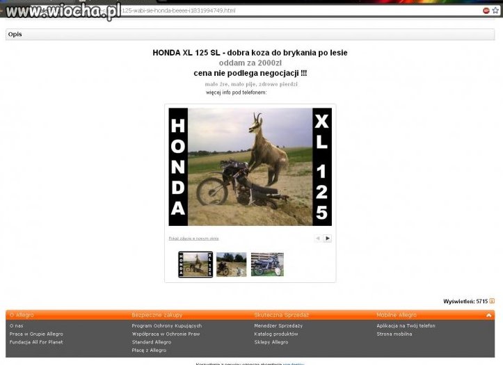 Koza raider