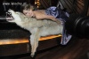 Natasza królowa wiochy w showbusinessie