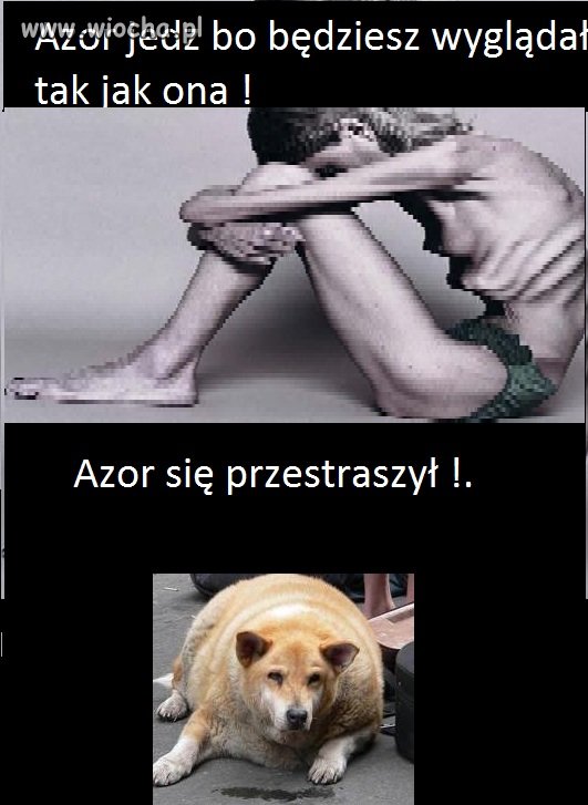 Azor