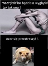 Azor
