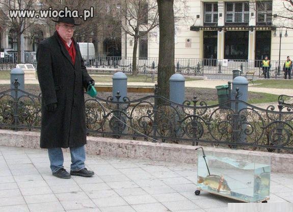 Nawet rybe można wyprowadzić na dwór