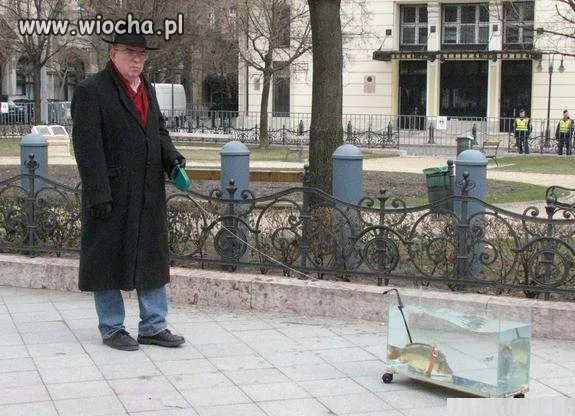Nawet rybe można wyprowadzić na dwór