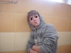 Ziom!