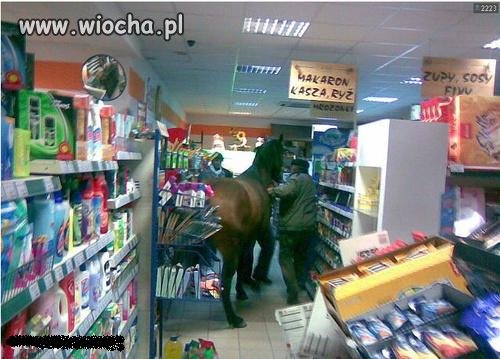 Dobry Koń Idzie z Panem Na Zakupy