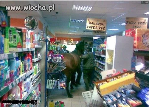 Dobry Koń Idzie z Panem Na Zakupy