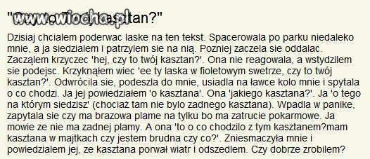 To nie mój kasztan